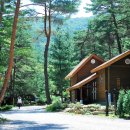 자연미림 이미지