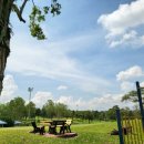 금곡상회 이미지