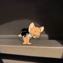 디어레브 - 영등포구 도영로 80 | 디어레브