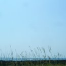 해녀작업장 이미지