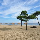힐링 - 연수구 함박로 49-1 | 힐링