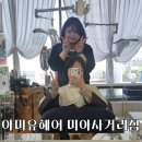 미아사거리역 미아동 미용실 <아미유헤어 미아사거리점> 염색 후기