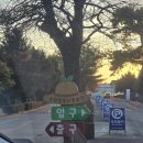 탑동농장 | 경기도 수원시 가볍게 나들이 다녀오기 좋은 탑동시민농장 방문 후기