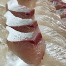 목동 회 배달 포장 맛집 - 충무수산 (대광어 + 소방어)