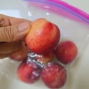 동의주열 이미지