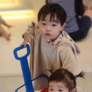 타이니아일랜드 이미지