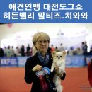 히든밸리켄넬 이미지