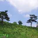 은서목장 이미지