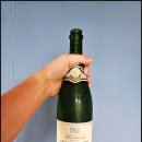 20240723_1일1술: 와인, 제이 드 빌라레 크레망 드 루아르 브뤼 NV [J. De Villaret Cremant De Loire...