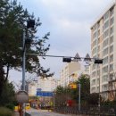 베스트가정의학과의원 네이버블로그