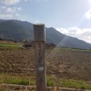 세원여행사 이미지