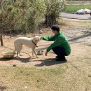 원림초등학교 이미지