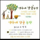 앵두네 이미지