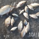 일번지낚시 이미지