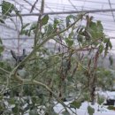 수환농장 이미지