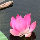 청주시립도서관 동아리실1 이미지
