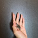 동탄대로10가길 이미지