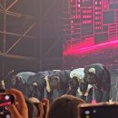 고잉투랩 동부산점 | 2026 퍼뮤스 둘째날 후기!!!