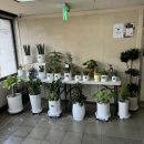 (주)브라더컴퍼니 이미지