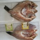 사철보양탕 이미지
