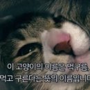 차곡히