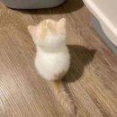 신부축산 이미지