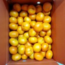 나영농장 이미지