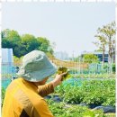 하늘꿈어린이집 이미지