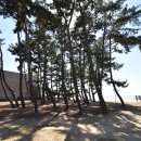 바닷가의추억민박 이미지