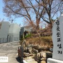 성지후불제상조