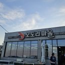 신명 | 울산 북구 오션뷰 대하구이 맛집, 신명 오도리마을 내돈내산 후기