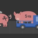 고기식탁 - 양천구 목동중앙남로3길 64 | 고기식탁
