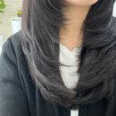 4155 | 전주 송천동 미용실 아우라헤어 레이어드컷 잘하는 곳 찐추천 솔직후기