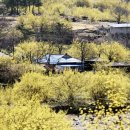 구례 버스킹 공연 이미지