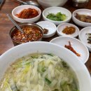 국시랑 묵밥 | 안동 국시 맛집 옥동손국수 | 전현무계획2 안동국시 주말 오픈런 웨이팅