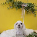 꾸미멍 이미지