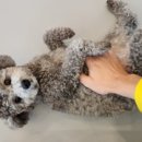 옐레드 동탄예당점 이미지