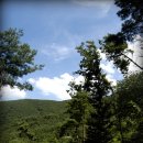 숲속의 행복마을 이미지