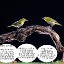 모퉁이 이미지