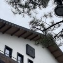 카페늘봄 티스토리