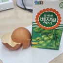 정암마켓 | 3월 셋째 주(3.16.~3.22.)