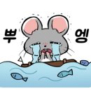 반려켄넬 이미지