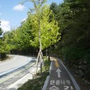 지산2리 티스토리