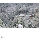 설궁 이미지