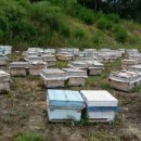 숲고을농장 이미지