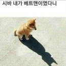 베트맨 - 군산시 부곡3길 13 | 베트맨