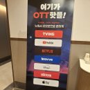 하운드호텔 | 시흥 오이도 거북섬 호텔 오션뷰 야외 자쿠지 스파 하운드호텔 숙박 후기