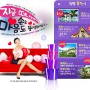 허브사우나