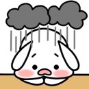 여수세꼬시 이미지