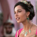 알라딘펫 이미지